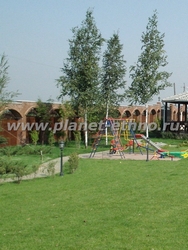 детский игровой комплекс на садовом участке