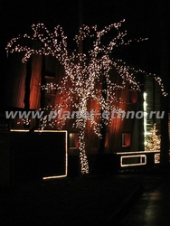 декоративная подсветка деревьев - ночная съемка объекта